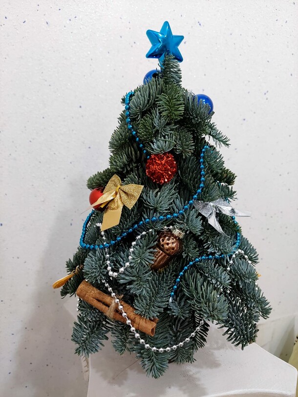 Ель новогодняя, артикул F1162877 - 4620 рублей, доставка по городу. Flawery - доставка цветов