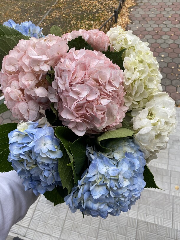 Облако гортензий, артикул F1220149 - 8373 рублей, доставка по городу. Flawery - доставка цветов