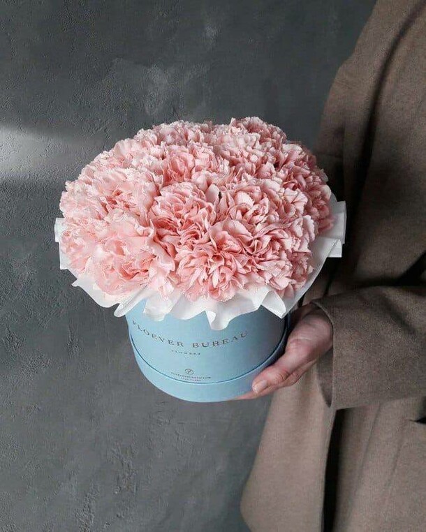 Нежные диантусы, артикул F1308291 - 6316 рублей, доставка по городу. Flawery - доставка цветов