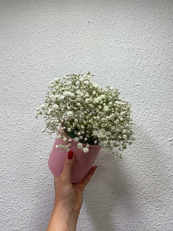 Маленькое облачко, артикул F1309928 - 1755 рублей, доставка по городу. Flawery - доставка цветов