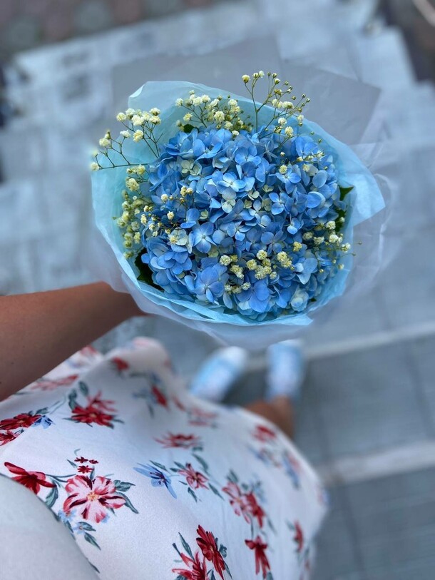 Гортензия, артикул F1315702 - 1694 рублей, доставка по городу. Flawery - доставка цветов