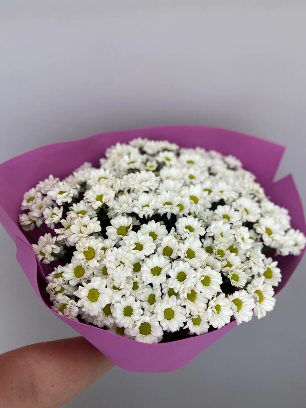 Хризантемы, артикул F1315714 - 7195 рублей, доставка по городу. Flawery - доставка цветов