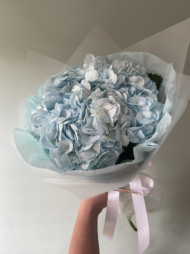 Нежная гортензия, артикул F1317225 - 3509 рублей, доставка по городу. Flawery - доставка цветов