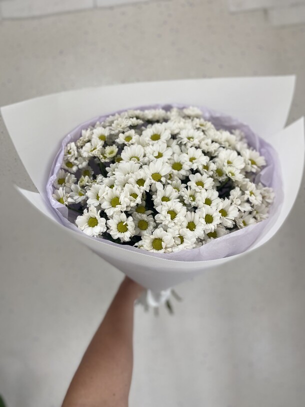 Ромашковое поле, артикул F1317232 - 5094 рублей, доставка по городу. Flawery - доставка цветов