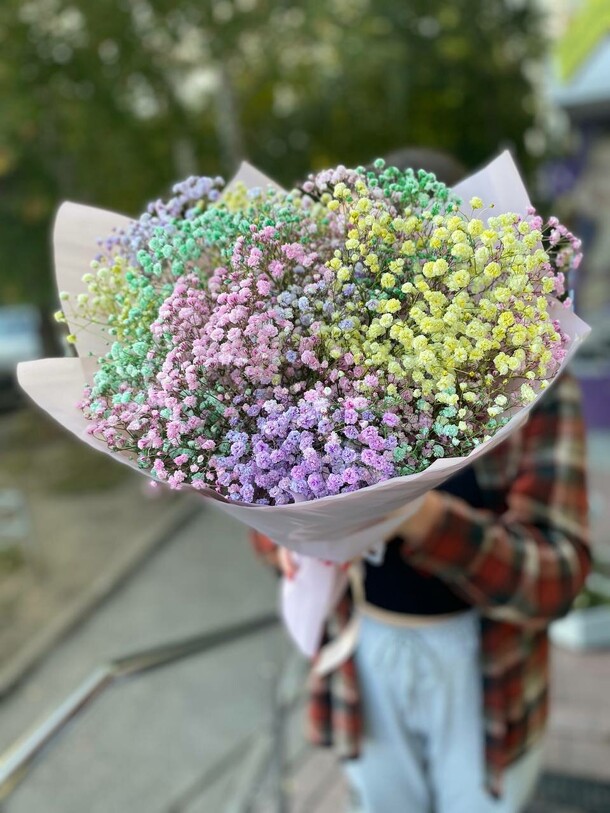 Радужная гипсофила, артикул F1319231 - 3848 рублей, доставка по городу. Flawery - доставка цветов