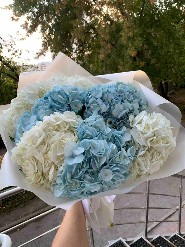 Гортензия, артикул F1319232 - 6667 рублей, доставка по городу. Flawery - доставка цветов