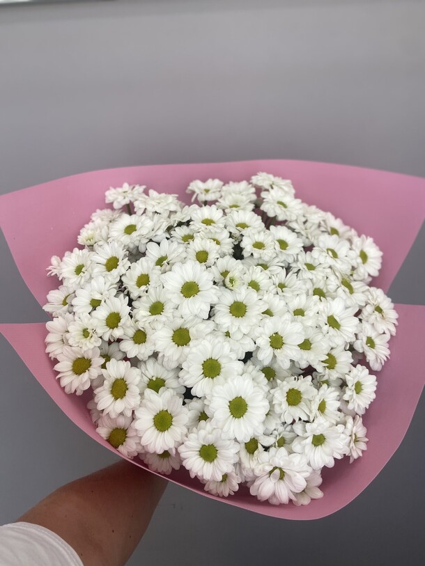 Хризантемы, артикул F1319763 - 4387 рублей, доставка по городу. Flawery - доставка цветов