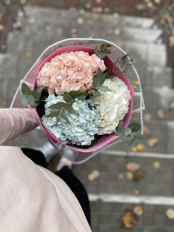 Гортензии, артикул F1334575 - 3951 рублей, доставка по городу. Flawery - доставка цветов