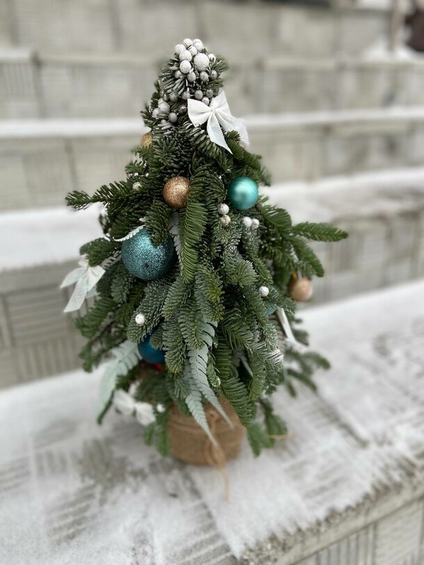 Елка, артикул F1359343 - 4631 рублей, доставка по городу. Flawery - доставка цветов