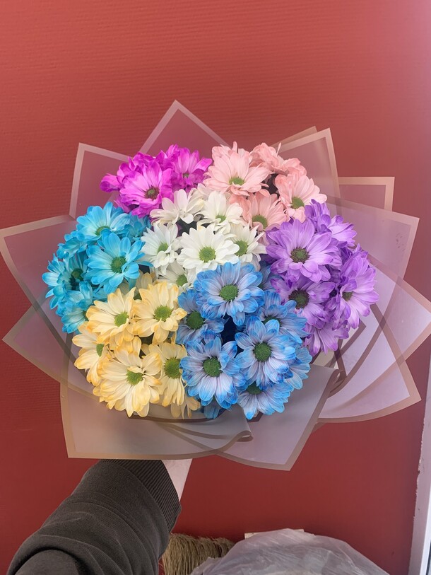 Букет из радужных хризантем, артикул F1271570 - 3500 рублей, доставка по городу. Flawery - доставка цветов