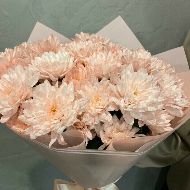 Хризантема кустовая, артикул F1288236 - 3080 рублей, доставка по городу. Flawery - доставка цветов