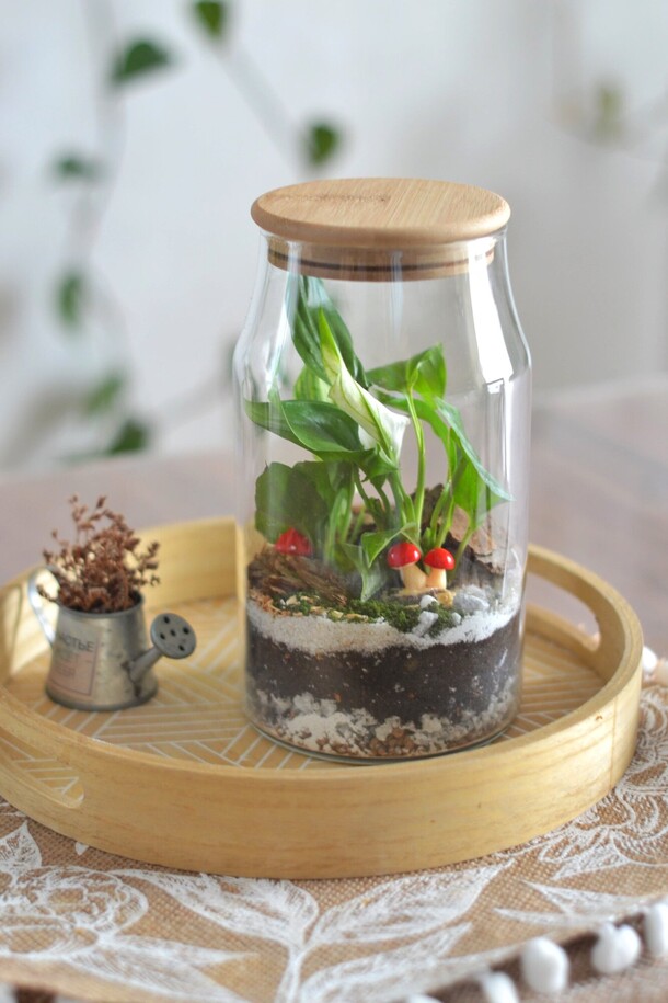 Экосистема, артикул F1505510 - 6500 рублей, доставка по городу. Flawery - доставка цветов