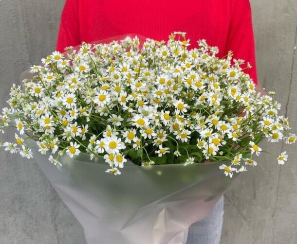 Букет из ромашек, артикул F1362682 - 6300 рублей, доставка по городу. Flawery - доставка цветов
