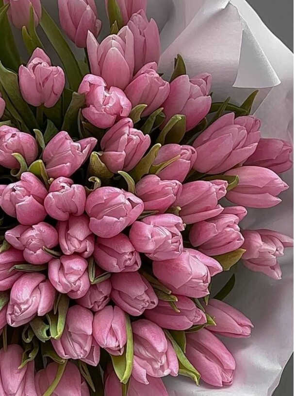 Букет тюльпанов, артикул F1371736 - 15182 рублей, доставка по городу. Flawery - доставка цветов