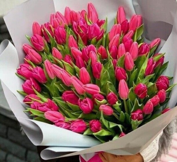 101 тюльпан, артикул F1372888 - 35000 рублей, доставка по городу. Flawery - доставка цветов