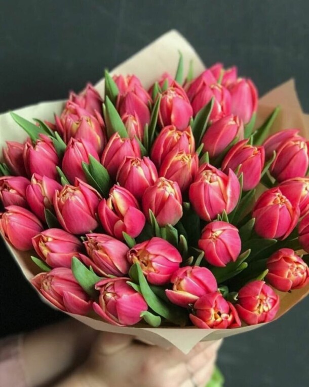 Букет тюльпанов 31 шт, артикул F1382828 - 11616 рублей, доставка по городу. Flawery - доставка цветов