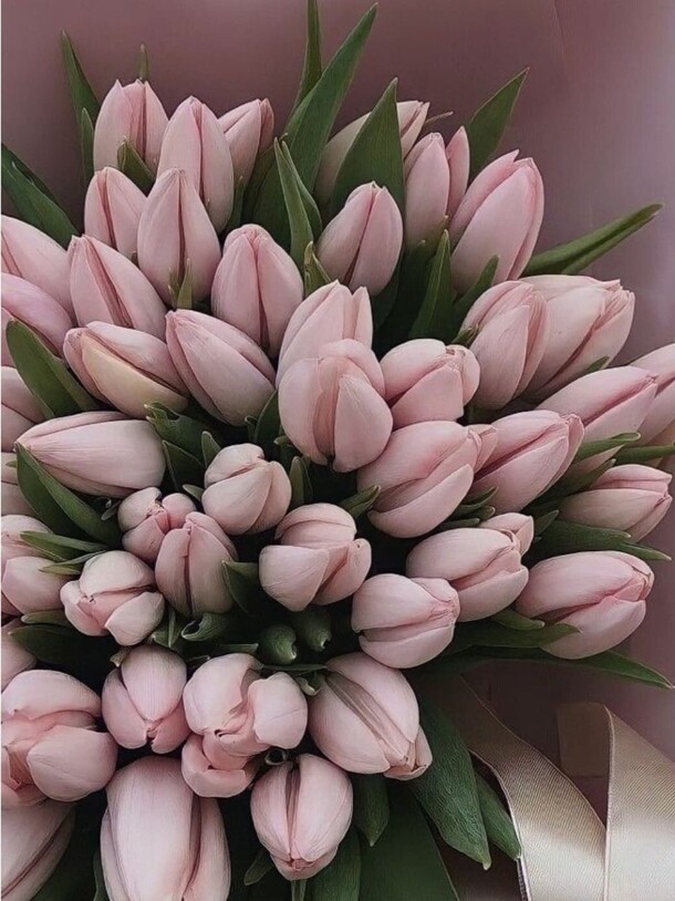 Букет розовых тюльпанов, артикул F1387723 - 11818 рублей, доставка по городу. Flawery - доставка цветов