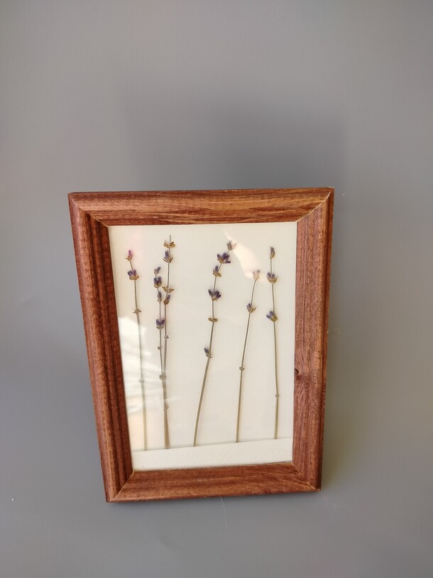 Лаванда в картине, артикул F1432571 - 500 рублей, доставка по городу. Flawery - доставка цветов