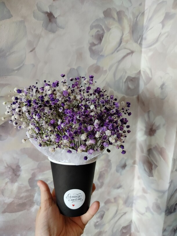 Комплимент я люблю тебя, гипсофила в стаканчике, артикул F1433474 - 1200 рублей, доставка по городу. Flawery - доставка цветов