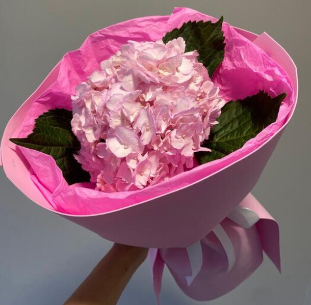 Букет гортензия, артикул F1322479 - 2100 рублей, доставка по городу. Flawery - доставка цветов