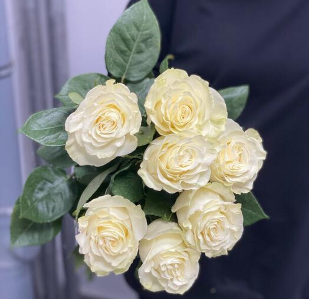 Букет белые розы эквадор, артикул F1327205 - 4410 рублей, доставка по городу. Flawery - доставка цветов