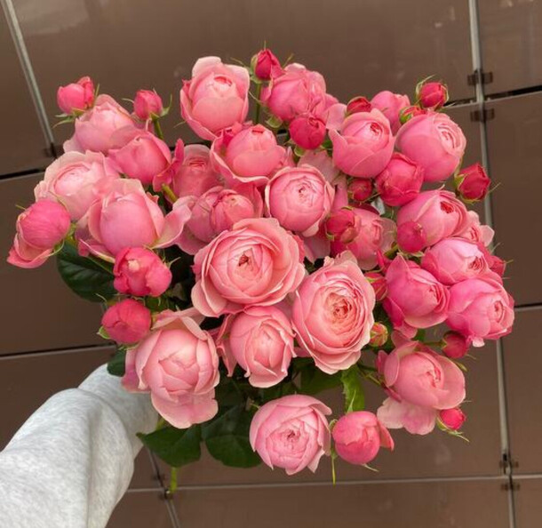 Букет пионовидные кустовые розы, артикул F1332981 - 6825 рублей, доставка по городу. Flawery - доставка цветов