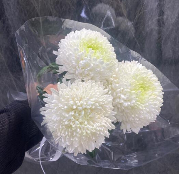 Букет белых хризантем, артикул F1338779 - 2720 рублей, доставка по городу. Flawery - доставка цветов