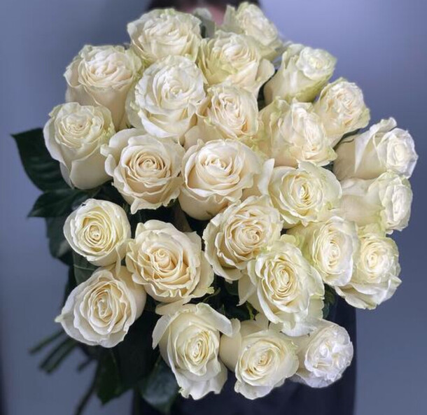 Шикарные белые розы эквадор, артикул F1380904 - 15750 рублей, доставка по городу. Flawery - доставка цветов