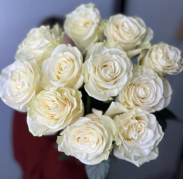 Белые крупные розы эквадор, артикул F1383745 - 6930 рублей, доставка по городу. Flawery - доставка цветов