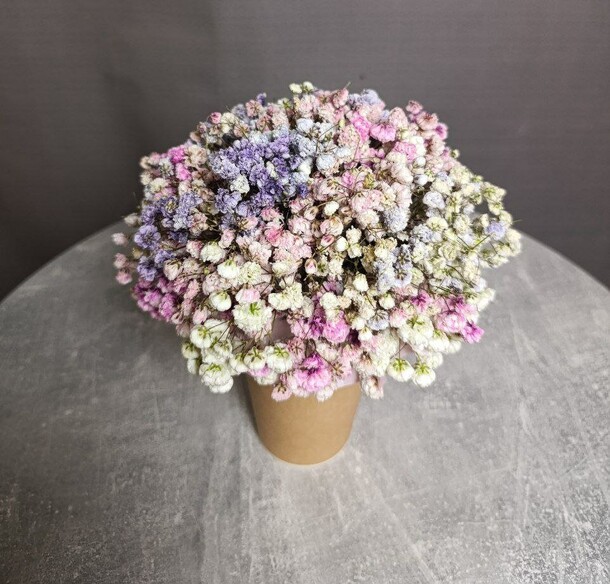 Композиция из цветной гипсофилы, артикул F1366465 - 1400 рублей, доставка по городу. Flawery - доставка цветов