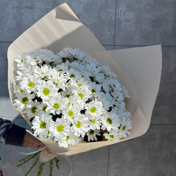 Букет из 11 хризантем чик, артикул F1286719 - 6045 рублей, доставка по городу. Flawery - доставка цветов