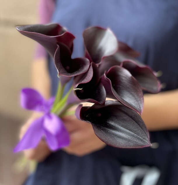 Баклажановые каллы, артикул F1206666 - 5888 рублей, доставка по городу. Flawery - доставка цветов