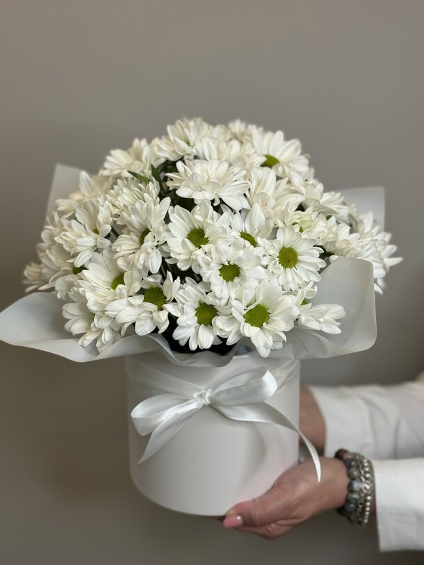 Хризантема в коробке, артикул F1292193 - 4505 рублей, доставка по городу. Flawery - доставка цветов