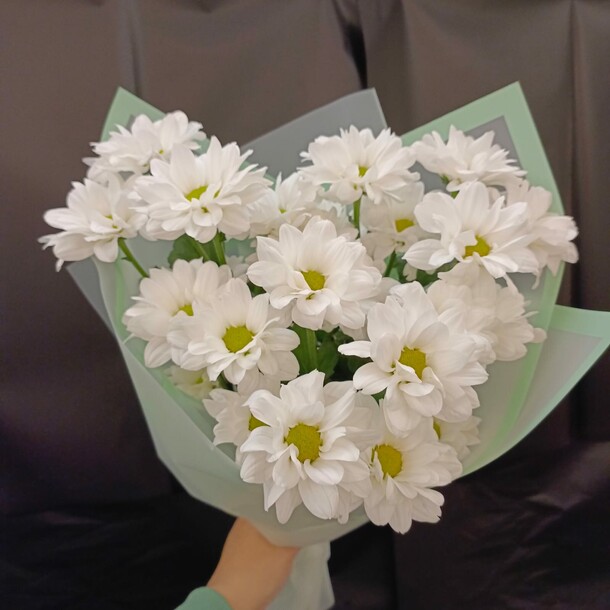 Ромашка хризантема 3 шт, артикул F1457529 - 1650 рублей, доставка по городу. Flawery - доставка цветов