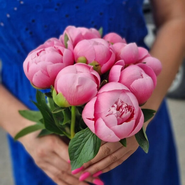 Букет из пион, артикул F1305250 - 13050 рублей, доставка по городу. Flawery - доставка цветов