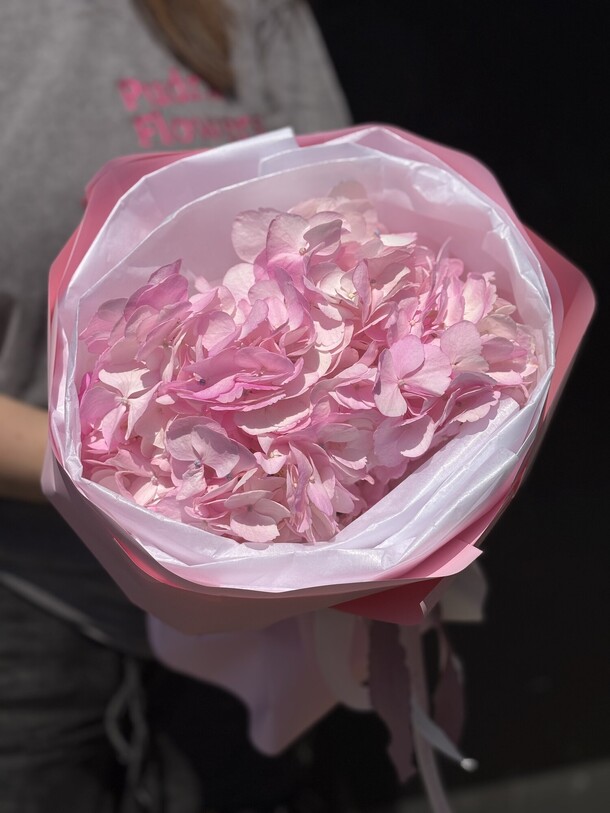 Гортензия в стильной упаковке, артикул F1445183 - 2000 рублей, доставка по городу. Flawery - доставка цветов