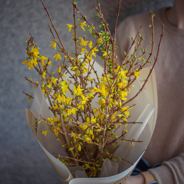 ⭐️ цветущие веточки "банч форзиции", артикул F1377172 - 3990 рублей, доставка по городу. Flawery - доставка цветов