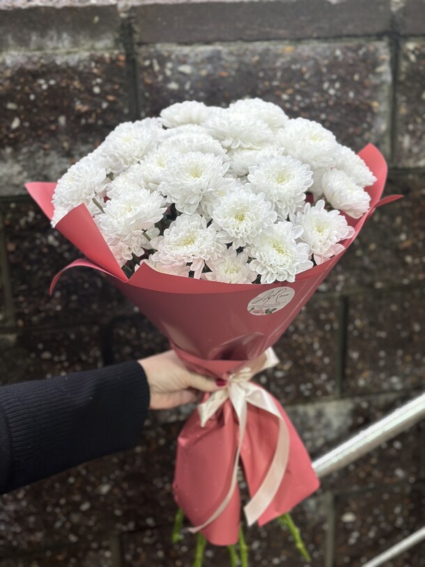 Хризантема кустовая, артикул F1341111 - 3850 рублей, доставка по городу. Flawery - доставка цветов