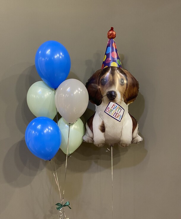 Набор щенок в колпаке, артикул F1338693 - 3980 рублей, доставка по городу. Flawery - доставка цветов