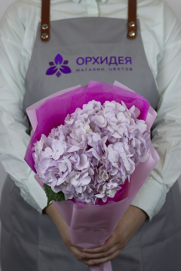 Букет "розовая гортензия", артикул F1456551 - 2190 рублей, доставка по городу. Flawery - доставка цветов