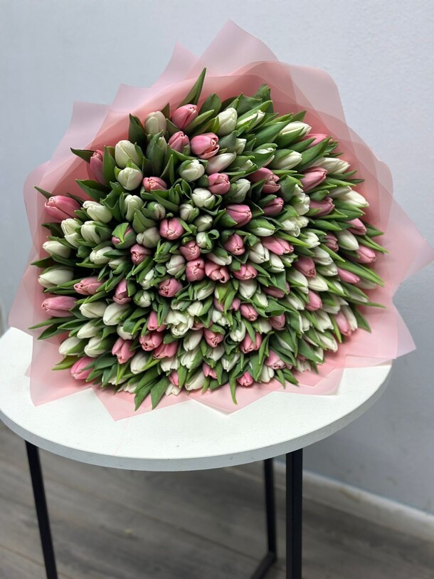 151 тюльпан бело-розовый, артикул F1388886 - 37868 рублей, доставка по городу. Flawery - доставка цветов