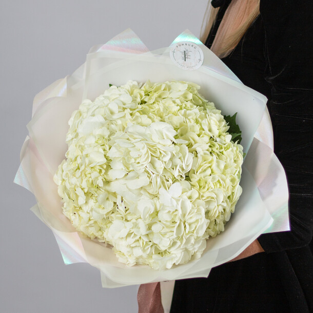 Букет белых гортензий «айсберг», артикул F1311349 - 5600 рублей, доставка по городу. Flawery - доставка цветов