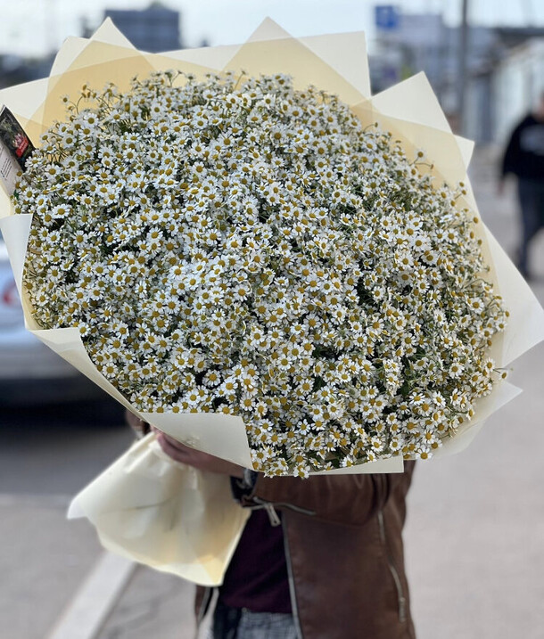 Ромашки, артикул F1323701 - 29000 рублей, доставка по городу. Flawery - доставка цветов