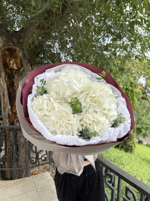 Букет из 3 гортензий "всплеск эмоций", артикул F1447140 - 3590 рублей, доставка по городу. Flawery - доставка цветов