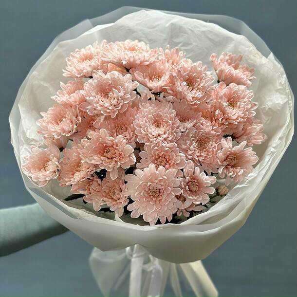 5 персиковых хризантем, артикул F1335859 - 2200 рублей, доставка по городу. Flawery - доставка цветов