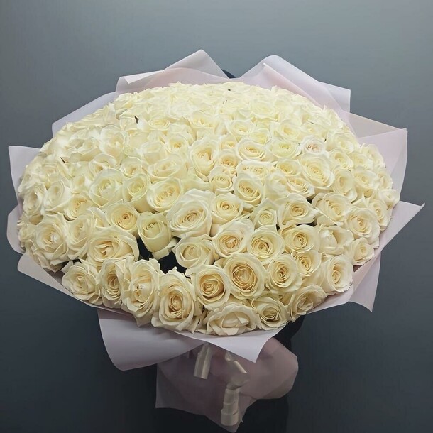 151 белая длинная роза, артикул F1311539 - 47494 рублей, доставка по городу. Flawery - доставка цветов