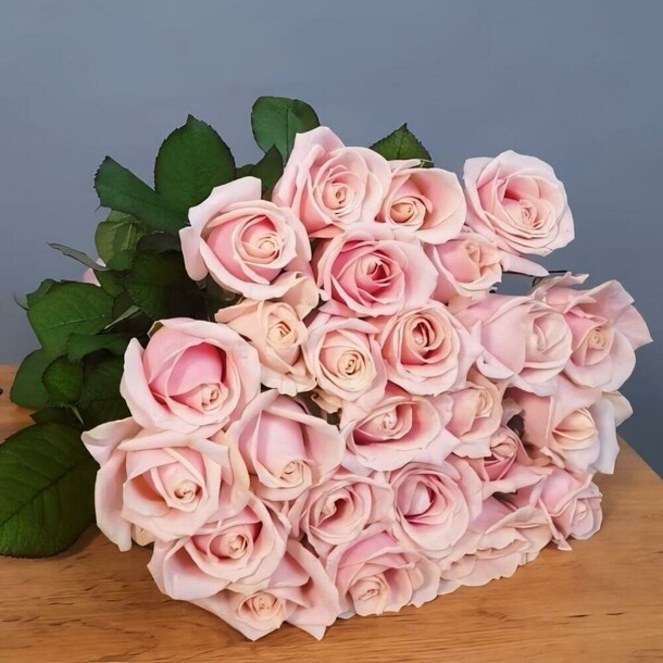 25 розовых роз талеа 50 см, артикул F1311943 - 7160 рублей, доставка по городу. Flawery - доставка цветов