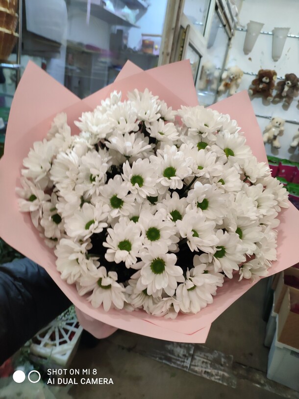 Хризантема белая 15 шт, артикул F101942 - 5500 рублей, доставка по городу. Flawery - доставка цветов