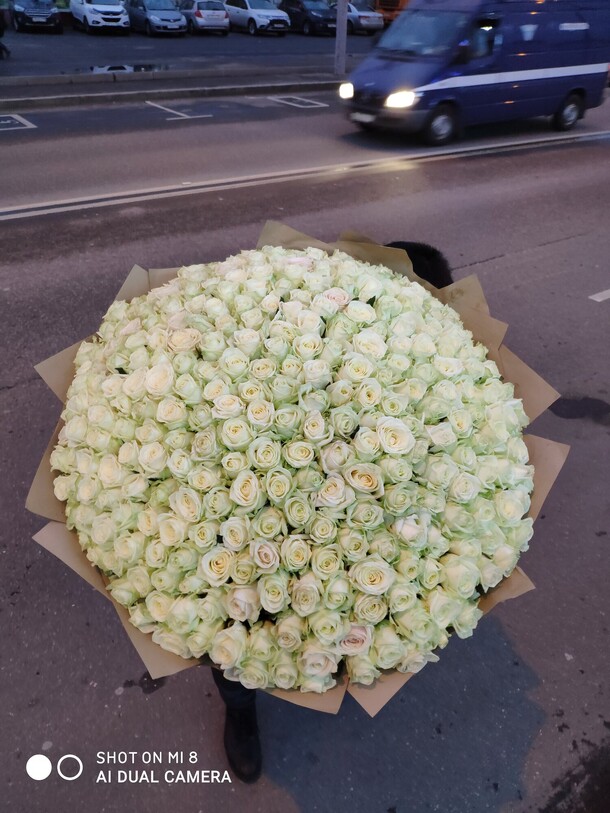 Роза белая 301, артикул F101947 - 49000 рублей, доставка по городу. Flawery - доставка цветов