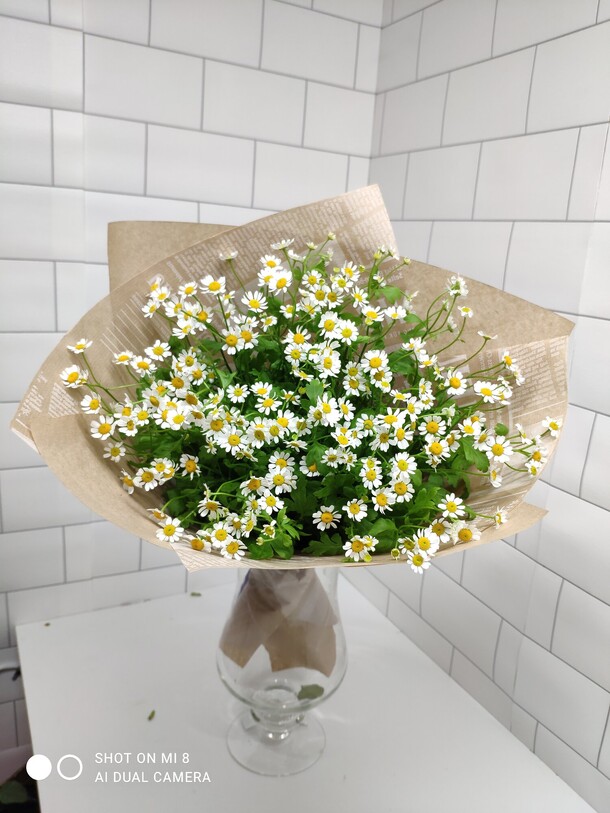 Ромашка, артикул F105801 - 7174 рублей, доставка по городу. Flawery - доставка цветов